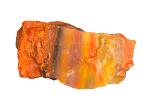 Az Petrified Wood 4 An Arizona Petrified wood chunk, displaying a wide range of colors.