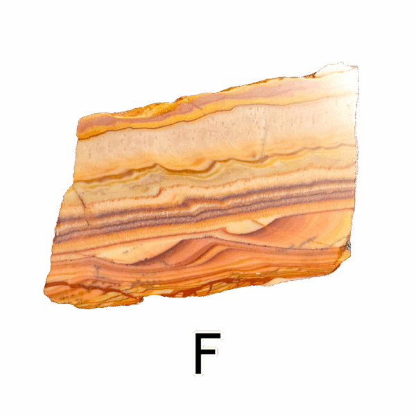 Wave Dolomite display slab displaying tan, red, orange, brown banding with a brilliant polish.