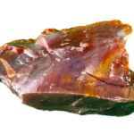 A lacquer-polished chunk of Arizona petrified wood with varying colors.