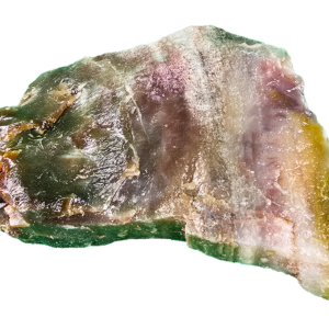 A lacquer-polished chunk of Arizona petrified wood with varying colors.