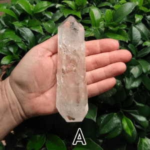 A large clear quartz point in the palm of a hand with a green, leafy background. It is quite large. Labeled 'A'.