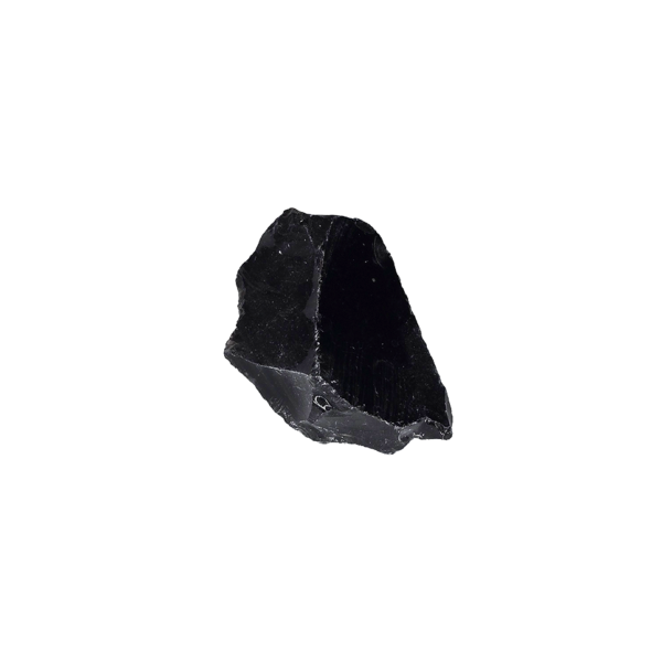 20260822_155528 A singe 1-2" rough obsidain specimen.